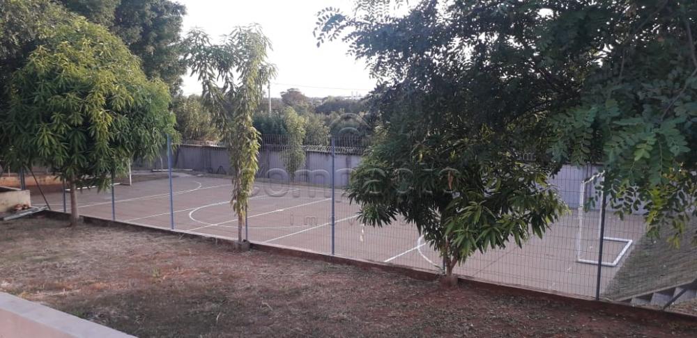 Alugar Apartamento / Padr&atilde;o em S&atilde;o Jos&eacute; do Rio Preto R$ 800,00 - Foto 15