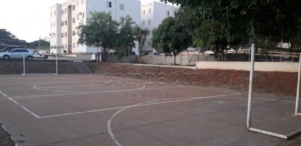 Alugar Apartamento / Padr&atilde;o em S&atilde;o Jos&eacute; do Rio Preto R$ 800,00 - Foto 16