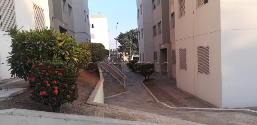 Alugar Apartamento / Padr&atilde;o em S&atilde;o Jos&eacute; do Rio Preto R$ 800,00 - Foto 20