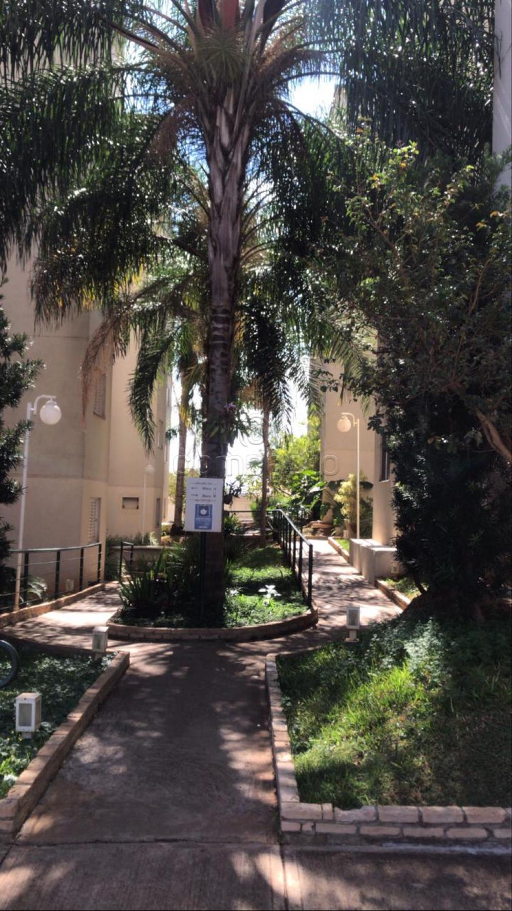 Comprar Apartamento / Padr&atilde;o em S&atilde;o Jos&eacute; do Rio Preto R$ 165.000,00 - Foto 16