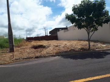 Mirassol Residencial Regissol II Terreno Venda R$103.000,00  Area do terreno 200.00m2 