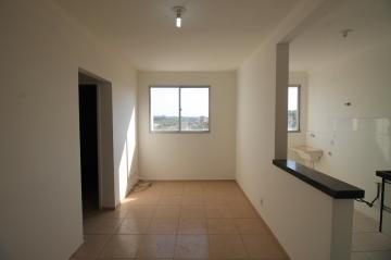Sao Jose do Rio Preto Eldorado Apartamento Locacao R$ 1.600,00 2 Dormitorios 1 Vaga 