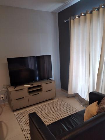 Sao Jose do Rio Preto Jardim Tarraf II Apartamento Locacao R$ 2.200,00 Condominio R$400,00 1 Dormitorio 1 Vaga 