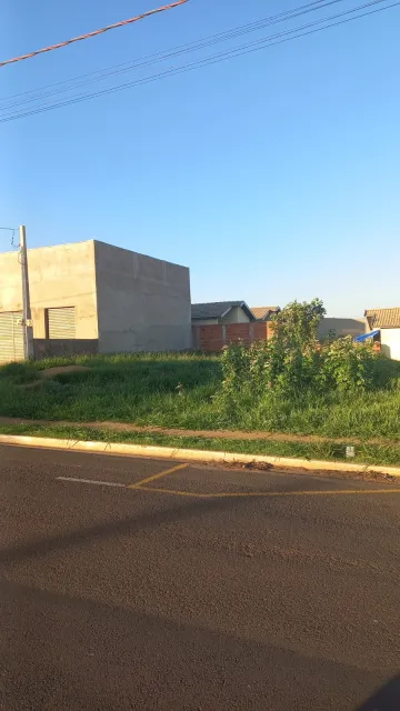 Sao Jose do Rio Preto Parque Residencial Dignidade Terreno Venda R$130.000,00  Area do terreno 208.00m2 