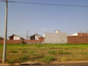Sao Jose do Rio Preto Chacara Bela Vista Terreno Venda R$89.000,00  Area do terreno 200.00m2 