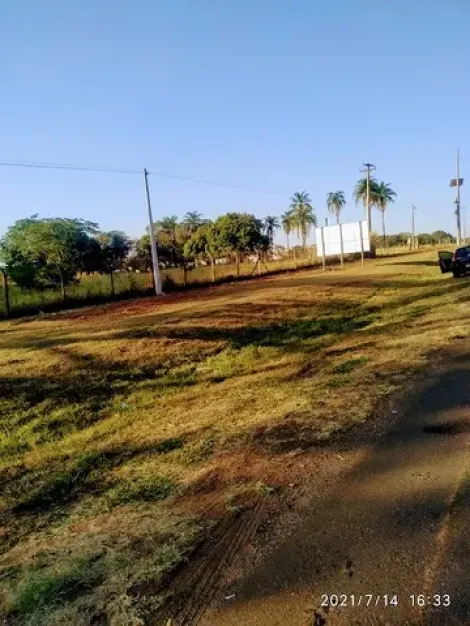 Bady Bassitt Rural Area Venda R$285.000,00  Area do terreno 300.00m2 