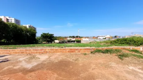 Sao Jose do Rio Preto Jardim Bianco Area Locacao R$ 14.000,00  Area do terreno 1800.00m2 