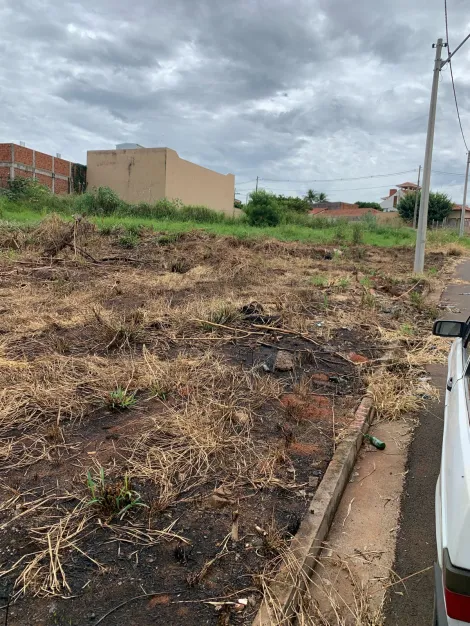 Sao Jose do Rio Preto Jardim Caparroz Area Venda R$4.383.000,00  Area do terreno 2922.00m2 
