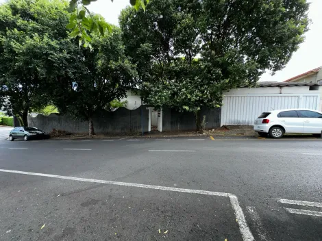Sao Jose do Rio Preto Centro Imovel Locacao R$ 8.500,00  4 Vagas Area do terreno 790.00m2 