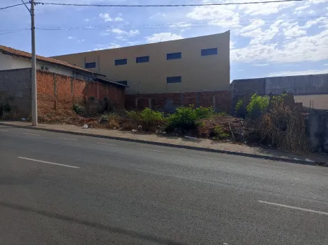 Sao Jose do Rio Preto Jardim Maracana Terreno Locacao R$ 1.000,00  Area do terreno 260.00m2 
