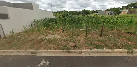 Bady Bassitt Jardim Tangara Terreno Venda R$80.000,00  Area do terreno 220.00m2 