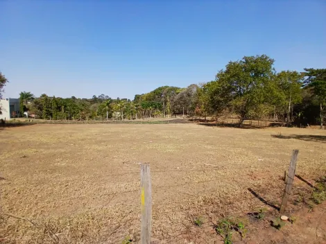 Sao Jose do Rio Preto Estancia Jockei Club Area Venda R$450.000,00  Area do terreno 4300.00m2 