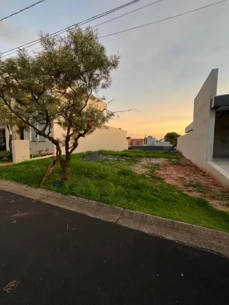 Mirassol Condominio Village Damha III (Mirassol) Terreno Venda R$265.000,00 Condominio R$500,00  Area do terreno 275.00m2 