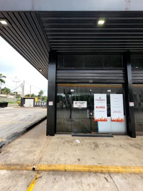 Sao Jose do Rio Preto Residencial Palestra Comercial Locacao R$ 3.500,00 