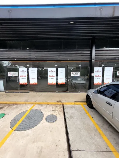 Sao Jose do Rio Preto Residencial Palestra Comercial Locacao R$ 3.350,00 