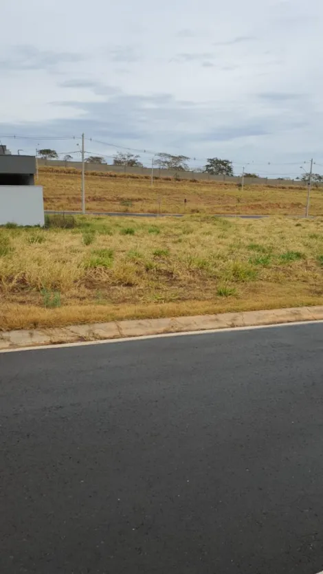 Bady Bassitt Centro Terreno Venda R$230.000,00  Area do terreno 252.00m2 