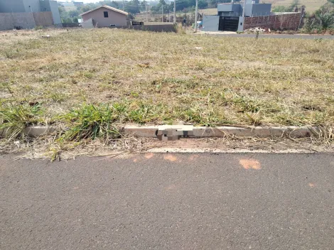 Bady Bassitt Eville Terreno Venda R$105.000,00  Area do terreno 246.35m2 