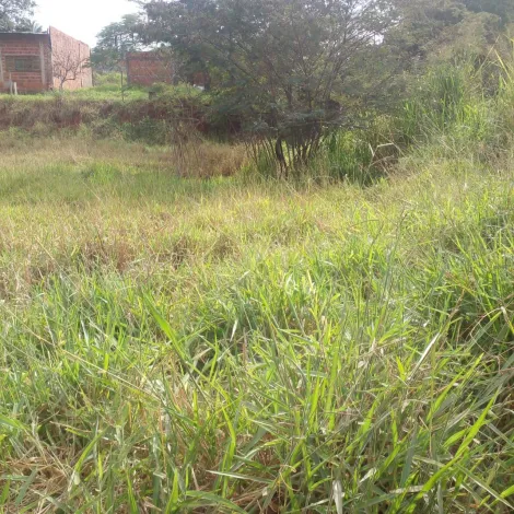 Sao Jose do Rio Preto Estancia Sao Pedro (Zona Rural) Terreno Venda R$125.000,00  Area do terreno 680.00m2 