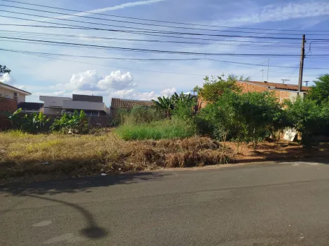 Bady Bassitt Residencial Menezes Terreno Venda R$93.000,00  Area do terreno 220.00m2 