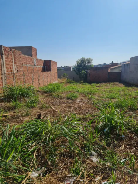 Bady Bassitt Residencial Borboleta Terreno Venda R$135.000,00  Area do terreno 347.25m2 