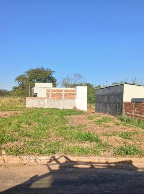 Bady Bassitt Avenida Parque Terreno Venda R$80.000,00  Area do terreno 260.00m2 
