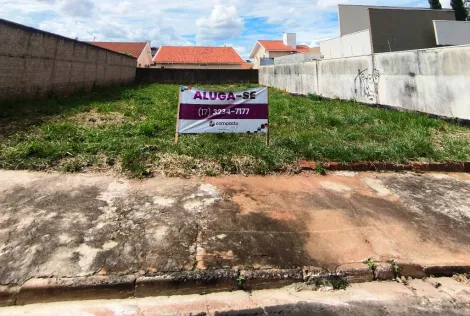 Sao Jose do Rio Preto Jardim Morumbi Terreno Locacao R$ 3.800,00  Area do terreno 450.00m2 