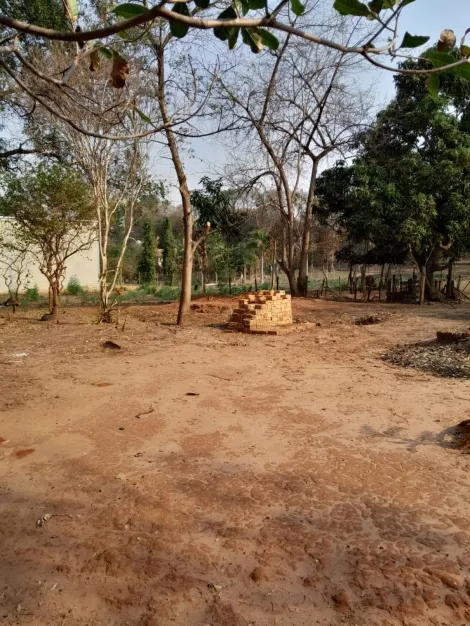 Sao Jose do Rio Preto Estancia Jockei Club Terreno Venda R$430.000,00  Area do terreno 4300.00m2 