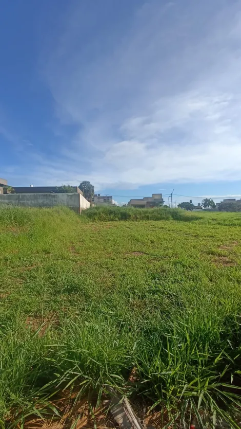 Mirassol Jardim Renascenca Terreno Venda R$205.000,00  Area do terreno 450.00m2 