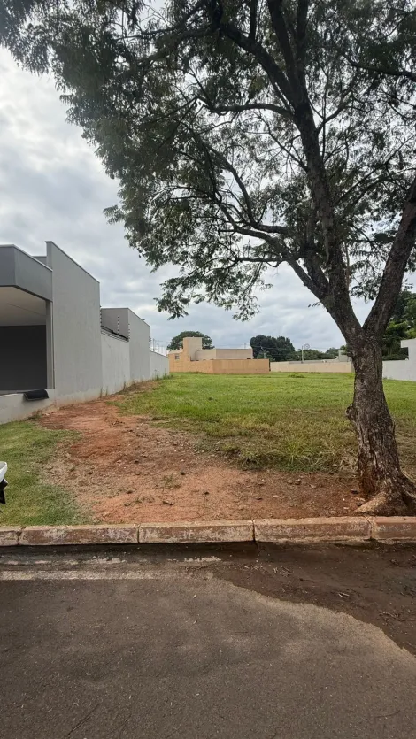 Bady Bassitt Villagio Donzellini Terreno Venda R$250.000,00 Condominio R$600,00  Area do terreno 360.00m2 