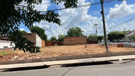 Sao Jose do Rio Preto Jardim Vale do Sol Terreno Venda R$1.390.000,00  Area do terreno 810.75m2 