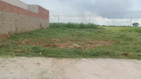 Sao Jose do Rio Preto Jardim Leste Terreno Venda R$110.000,00  Area do terreno 200.00m2 
