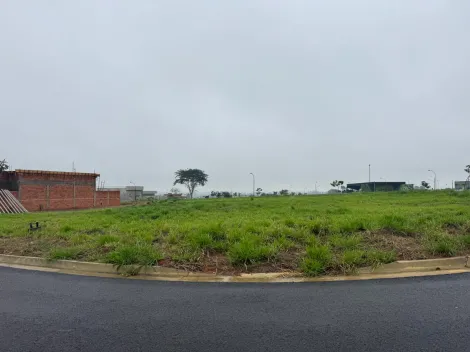 Sao Jose do Rio Preto Jardim Paulistano Terreno Venda R$680.000,00  Area do terreno 405.00m2 