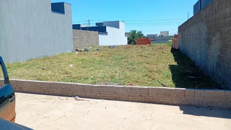 Sao Jose do Rio Preto Residencial Setsul II Terreno Venda R$158.000,00  Area do terreno 200.00m2 