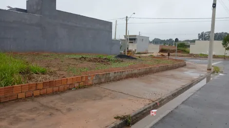 Sao Jose do Rio Preto Residencial Setsul II Terreno Venda R$170.000,00  Area do terreno 242.00m2 