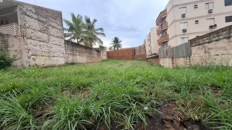 Sao Jose do Rio Preto Jardim Aclimacao Terreno Venda R$555.000,00  Area do terreno 525.00m2 