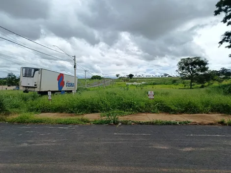 Sao Jose do Rio Preto Loteamento Parque dos Passaros Terreno Locacao R$ 10.000,00  Area do terreno 5000.00m2 